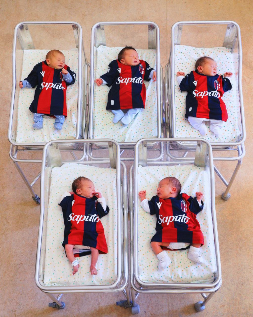 photo_2025-11-14 16.15.30